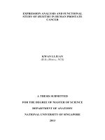 EXPRESSION ANALYSIS AND FUNCTIONAL STUDY OF HS3ST3B1 IN HUMAN PROSTATE CANCER