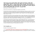 Phân tích tâm lí, tính cách nhân vật Việt trong Những đứa con trong gia đình của Nguyễn Thi.