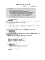 Kháng nguyên kháng thể 