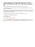 Phân tích chất Nam Bộ thể hiện ở tính cách và ngôn ngữ các nhân vật Chiến, Việt và chú Năm trong Những đứa con trong gia đình