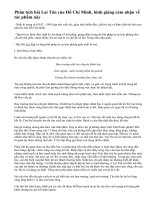 Phân tích bài Lai Tân của Hổ Chí Minh (bài 2)