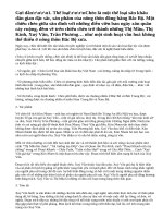 Xúy Vân giả dại