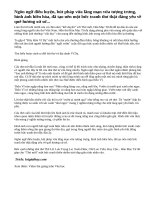 Anh, chị hãy bình giảng khổ thơ đầu trong bài thơ Đây thôn Vĩ Dạ của Hàn Mạc Tử.