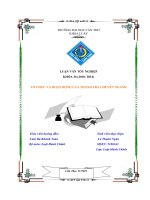 tổ chức và hoạt động của thanh tra chuyên ngành