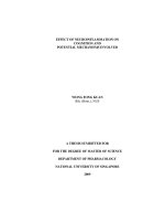 Effect of neuroinflammation on cognition and potential mechanisms involved