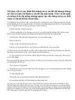 Bài 2: Viết một truyện ngắn theo đề tài tự chọn.