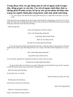 Phân tích Tình cảnh lẻ loi của người chinh phụ ( Bài 2 )