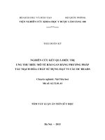 Nghiên cứu kết quả điều trị ung thư biểu mô tế bào gan bằng phương pháp tắc mạch hóa chất sử dụng hạt vi cầu DC beads