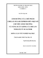 Ảnh hưởng của chế phẩm chelax sugar express đến một số chỉ tiêu sinh trưởng và năng suất giống cà chua f1 tomato TV 01 savior