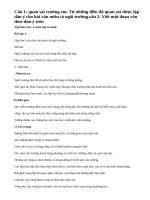 Tập làm văn : Luyện tập tả cảnh trang 42 sgk Tiếng Việt lớp 5