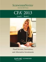 2013 CFA Level 1 - Book 5