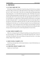 chuyên đề tự chọn lượng chất trong hóa học