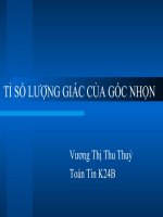 Tỉ số lượng giác góc nhọn (file PPT) trình chiếu