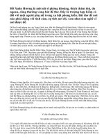 Phân tích bài thơ Đề đền Sầm Nghi Đống của Hồ Xuân Hương.