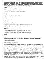 Kể về một tấm gương tốt trong học tập hay trong việc giúp đỡ bạn bè mà em biết