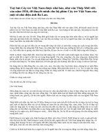 Cảm nhận của em về bài Cây tre Việt Nam của nhà văn Thép Mới