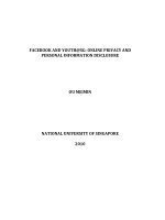 Online privacy and personal information disclosure