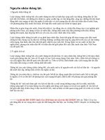 Trình bày nguyên nhân thắng lợi và ý nghĩa lịch sử của cuộc kháng chiến chống Mĩ, cứu nước (1954-1975)