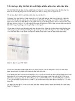 Sự phát triển của văn hóa trong buổi đầu thời cận đại