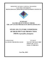 study on culture conditions of high phytase production from aspergillus fumigatus size 1415