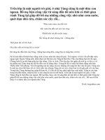 Viết đoạn văn ngắn giới thiệu về một người bạn