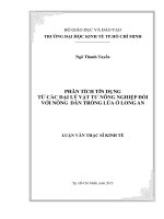 Phân tích tín dụng từ các đại lý vật tư nông nghiệp đối với nông dân trồng lúa ở long an