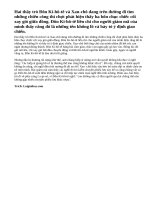 Tóm tắt đoạn trích Đánh nhau với cối xay gió (trích Đôn Ki-hô-lê của Xéc-van-téc)