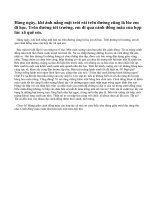 Em tả lại cảnh buổi sáng trên cảnh đồng làng em bài 1