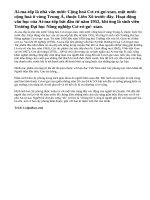 Giới thiệu về tác giả Ai-ma-tốp và văn bản Hai cây phong