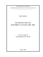 Hải thương việt nam dưới triều vua tự đức (1848   1883)  luận văn ths  lịch sử 