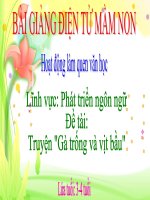 Bài giảng điện tử mầm non lớp Mầm đề tài Gà trống và vịt bầu