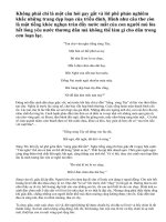 Bình giảng bài thơ Chạy giặc của Nguyễn Đình Chiểu.