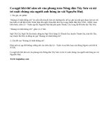 Giới thiệu một vài nét về tác giả, tác phẩm và chủ đề của: Hoàng Lê nhất thống chí.