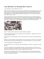 Cuộc chiến đấu ở các đô thị và việc chuẩn bị cho cuộc kháng chiến lâu dài