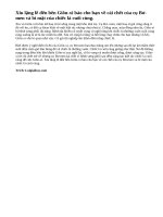 Tóm tắt truyện ngắn Chiếc lá cuối cùng của O.Henri