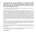 Tóm tắt truyện Bến quê của Nguyễn Minh Châu.