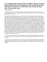 Tả cảnh buổi sáng trên cánh đồng làng em bài 2