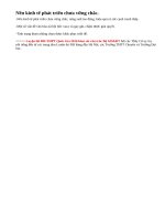 Hãy nêu những khó khăn và yếu kém về kinh tế-xã hội của nước ta sau 15 năm (1986-2000) thực hiện đường lối đổi mới.