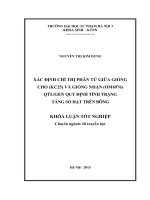 Xác định chỉ thị phân tử giữa giống cho (KC25) và giống nhận (OM 6976) QTL GEN quy định tính trạng tăng số hạt trên bông