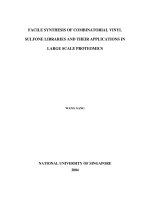 Facile synthesis of combinatorial vinyl sulfone libraries and their applications in large scale proteomics