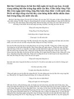 Cảm nhận về bài thơ Cảnh khuya của Hồ Chí Minh.