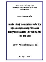 Luận án tiến sĩ nghiên cứu hệ thống chỉ tiêu phân tích hiệu quả hoạt động tại các doanh nghiệp kinh doanh du lịch trên địa bàn tỉnh bình định 