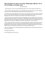 Nơi em ở có cảnh đẹp nào em yêu thích hơn cả em hãy tả cảnh đó