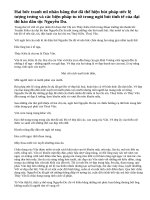 Phân tích đoạn trích chị em Thúy Kiều của đại thi hào Nguyễn Du.