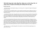 Tả bồn hoa đẹp trong công viên