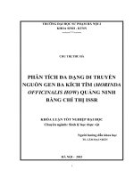 Phân tích đa dạng di truyền nguồn gen ba kích tím (morinda officinalis how) quảng ninh bằng chỉ thị ISSR