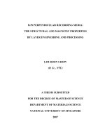 The structural and magnetic properties by layer engineering and processing