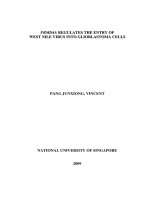 FRMD4A regulates the entry of west nile virus into glioblastoma cells
