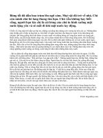 Em hãy đọc bài thơ: Mặt trời…gọi bạn . Dựa vào bài thơ trên, em hãy tưởng tượng và kể lại câu chuyện ấy