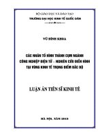 Luận án tiến sĩ các nhân tố hình thành cụm ngành công nghiệp điện tử   nghiên cứu điển hình tại vùng kinh tế trọng điểm bắc bộ 